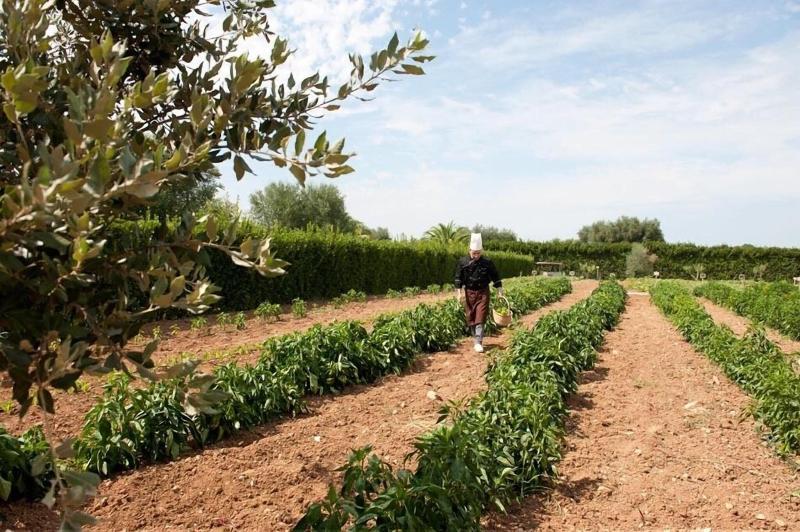 Tenuta Moreno - Genel