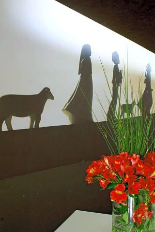 Lagoa Dos Pastorinhos fotoÄŸrafÄ±