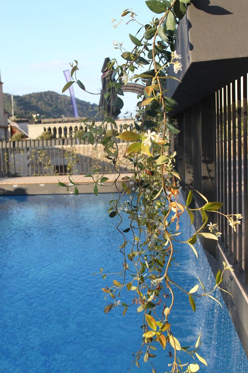 Casa Granados Boutique Hotel - Havuz