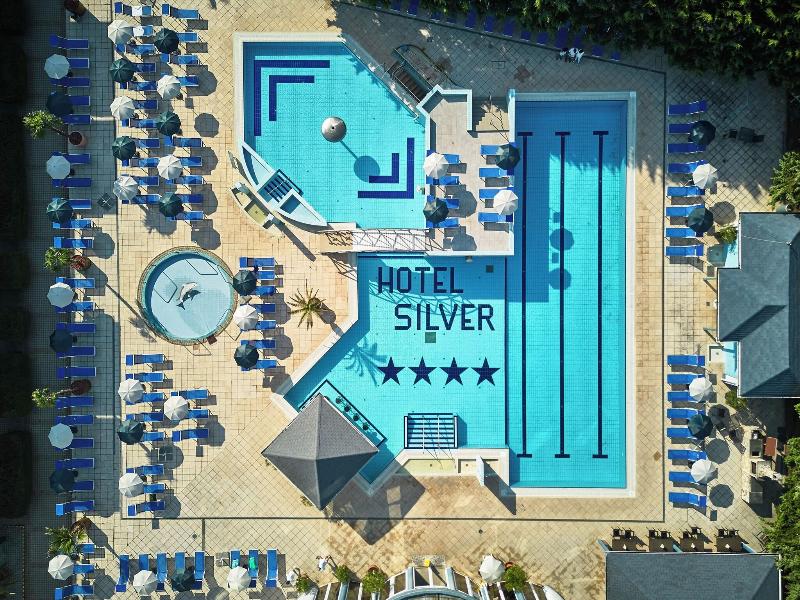 Hotel Silver - Havuz