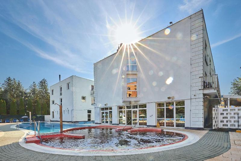 Hotel Silver - Havuz