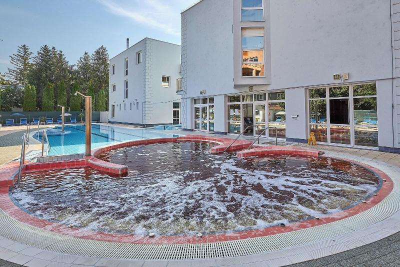 Hotel Silver - Havuz