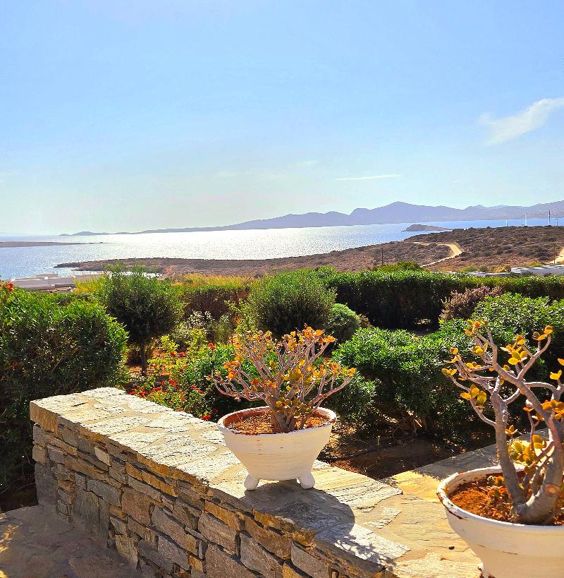 Paros Afrodite Luxury Villas - Genel