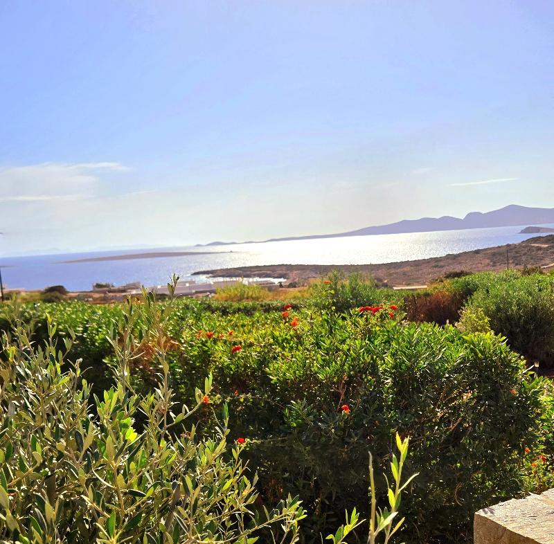 Paros Afrodite Luxury Villas - Oda