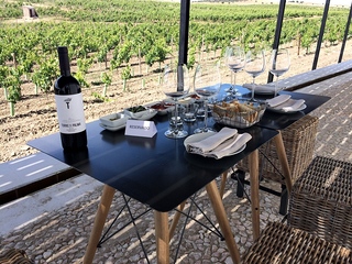 Torre De Palma Wine Hotel -  Design Hotels fotoÄŸrafÄ±
