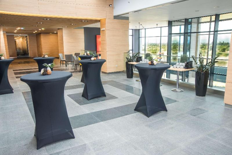 Hotel Premier Sofia Airport - Toplantı