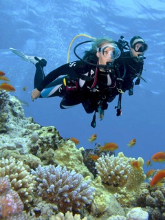 Steigenberger Aqua Magic fotoÄŸrafÄ±