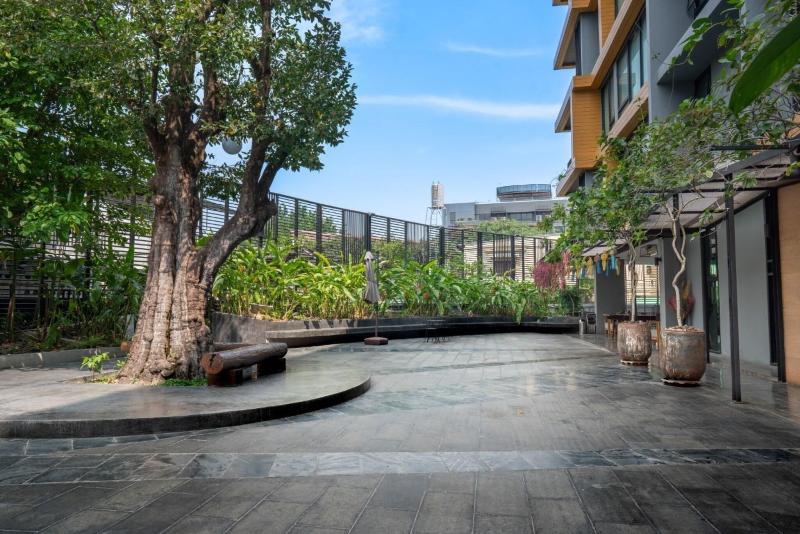 Sanae Hotel Chiang Mai - Teras