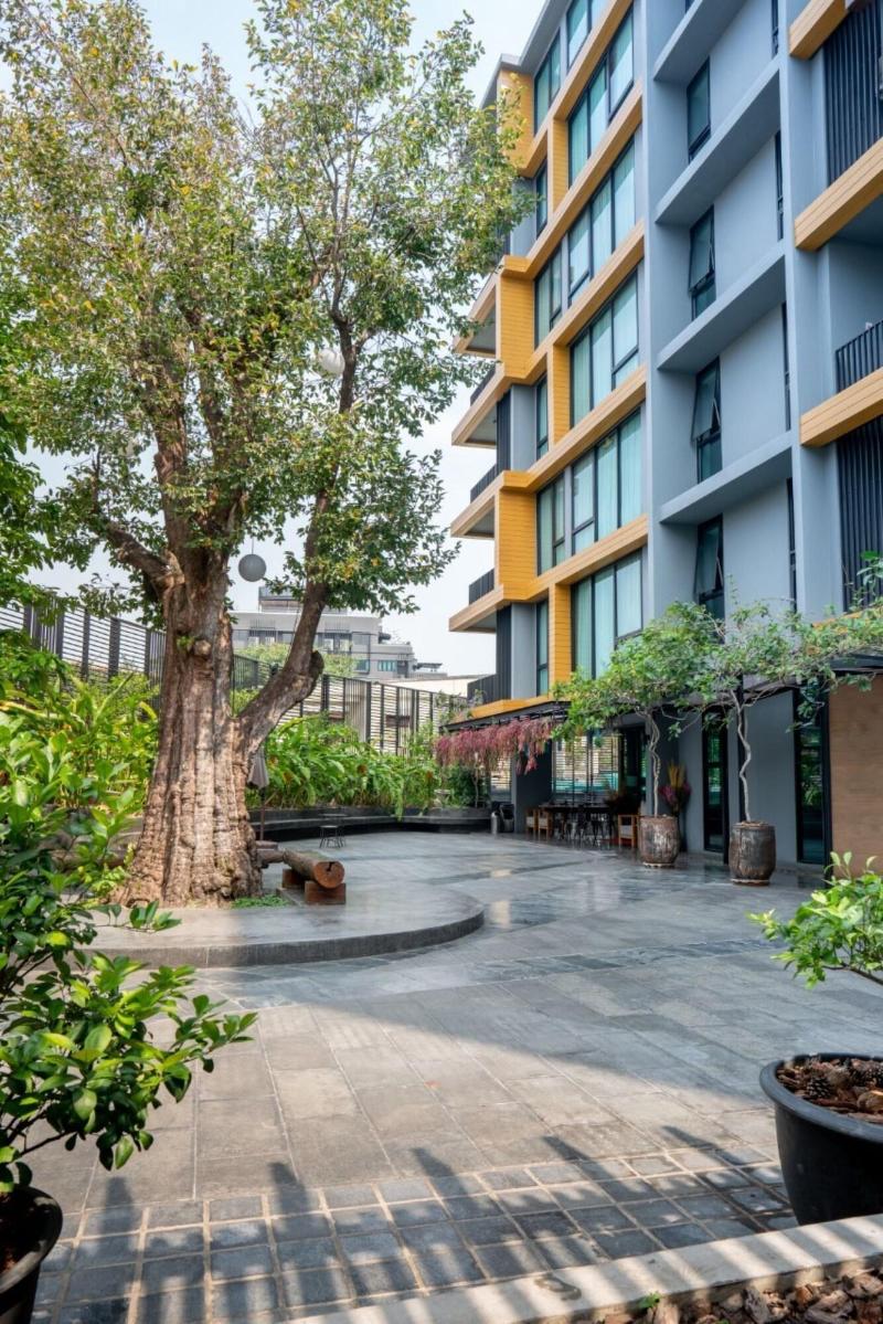 Sanae Hotel Chiang Mai - Teras