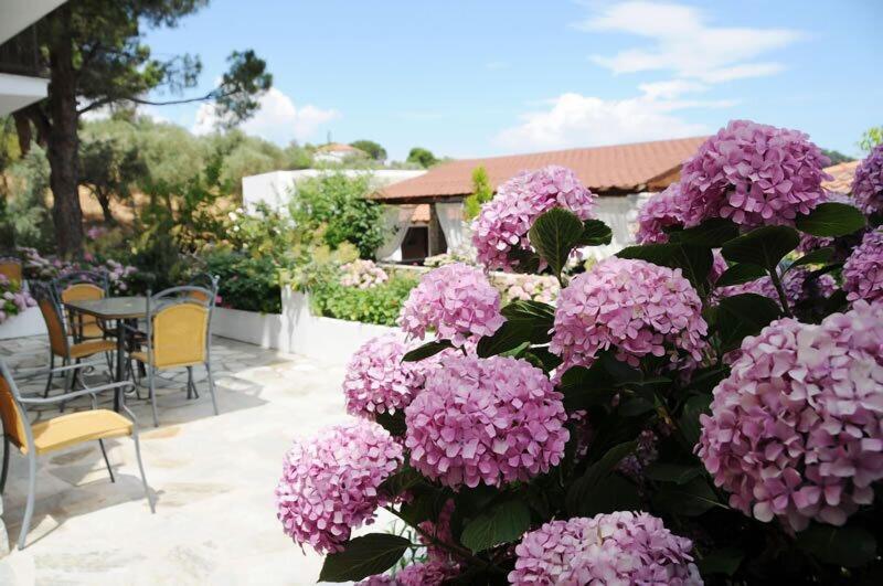 Skiathos Island Suites - Genel