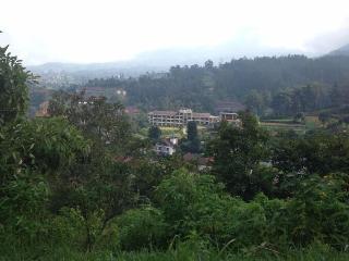 Casa Monte Rosa Hotel Ciloto Puncak fotoÄŸrafÄ±