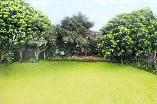 Papyrus Tropical Bogor fotoÄŸrafÄ±