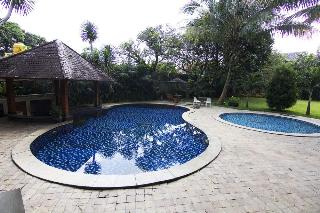 Papyrus Tropical Bogor fotoÄŸrafÄ±
