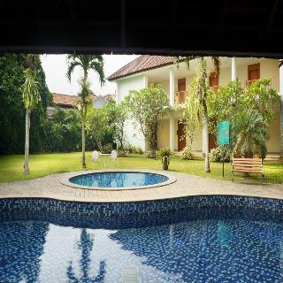 Papyrus Tropical Bogor fotoÄŸrafÄ±