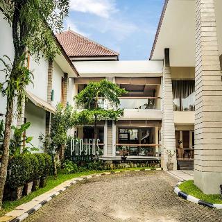Papyrus Tropical Bogor fotoÄŸrafÄ±