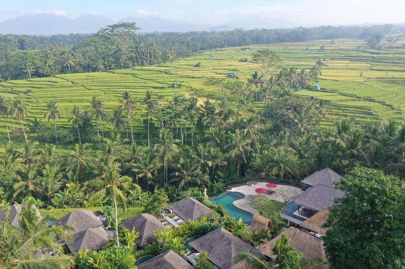 Puri Sebali Resort - Genel