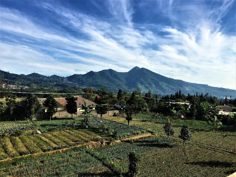 Tangko Inn Resort - Genel