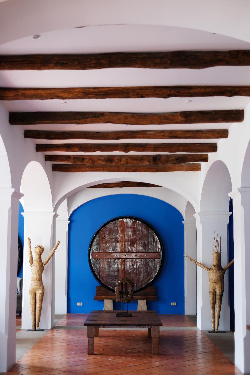 The Vintage House - Douro - Lobi