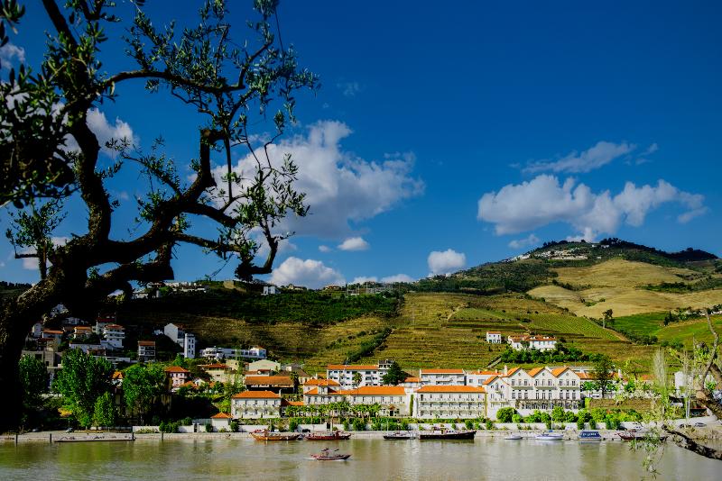 The Vintage House - Douro - Genel
