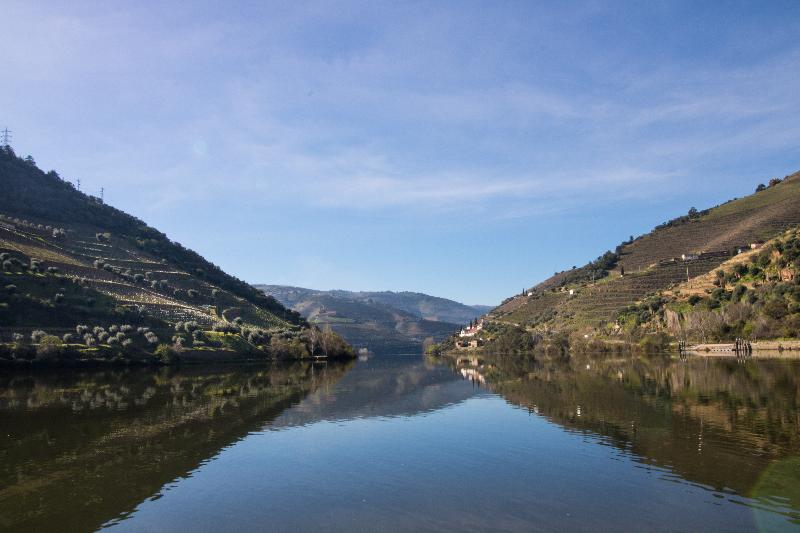 The Vintage House - Douro - Genel