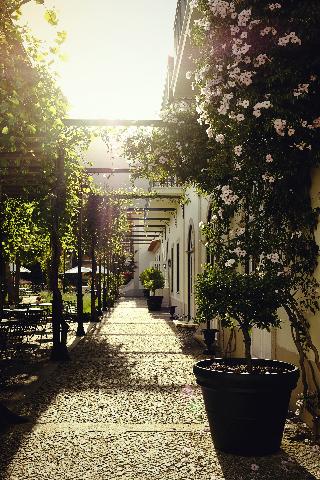 The Vintage House - Douro fotoÄŸrafÄ±
