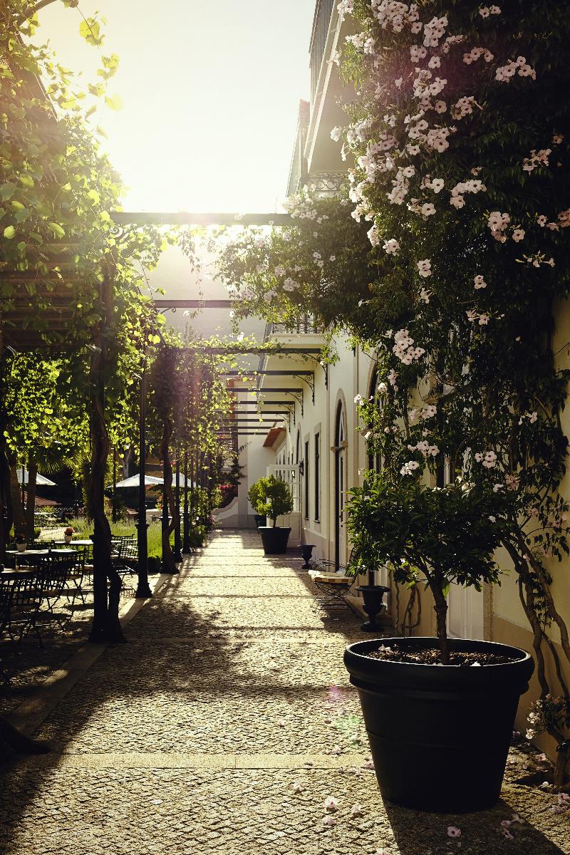 The Vintage House - Douro - Teras