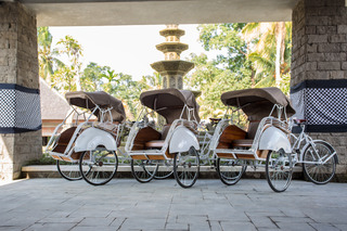 Visesa Ubud Villa and Resort, Bali fotoÄŸrafÄ±