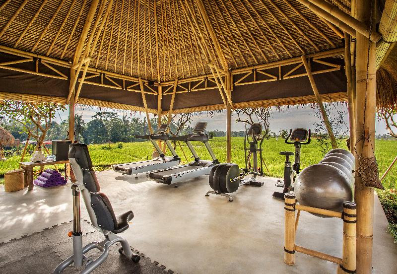Visesa Ubud Villa and Resort, Bali - Aktivite