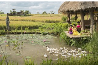 Visesa Ubud Villa and Resort, Bali fotoÄŸrafÄ±