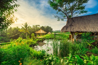 Visesa Ubud Villa and Resort, Bali fotoÄŸrafÄ±