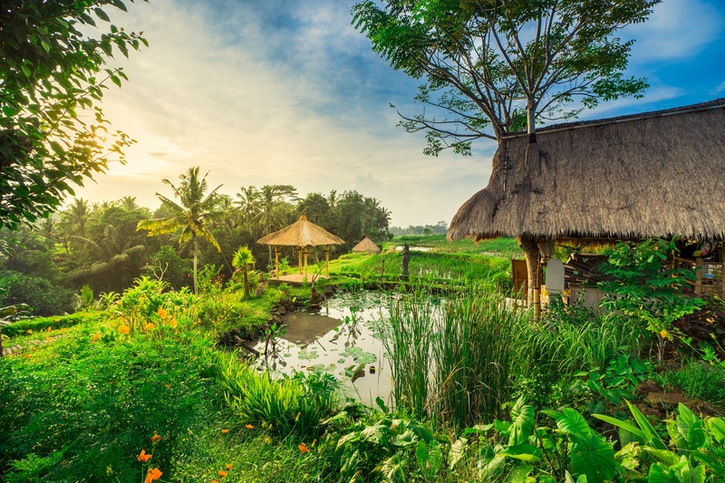 Visesa Ubud Villa and Resort, Bali - Genel