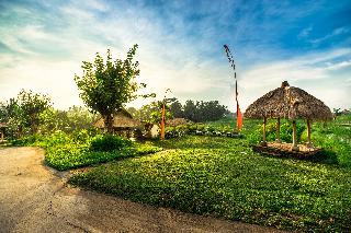 Visesa Ubud Villa and Resort, Bali fotoÄŸrafÄ±