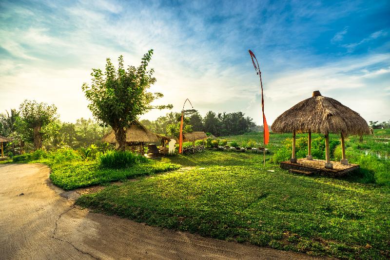 Visesa Ubud Villa and Resort, Bali - Genel