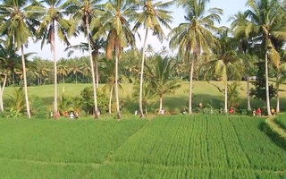 Visesa Ubud Villa and Resort, Bali fotoÄŸrafÄ±