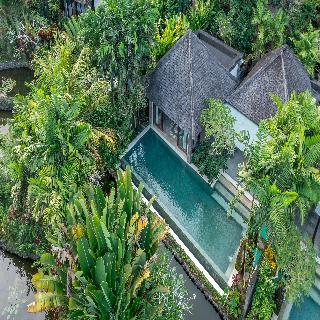 Visesa Ubud Villa and Resort, Bali fotoÄŸrafÄ±