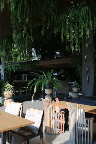 The Silver Palm Wellness Resort - Bangkok fotoÄŸrafÄ±