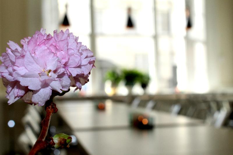 NOX HOTELS | Paddington (DO NOT USE) - Genel