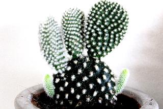 NOX HOTELS | Paddington (DO NOT USE) fotoÄŸrafÄ±