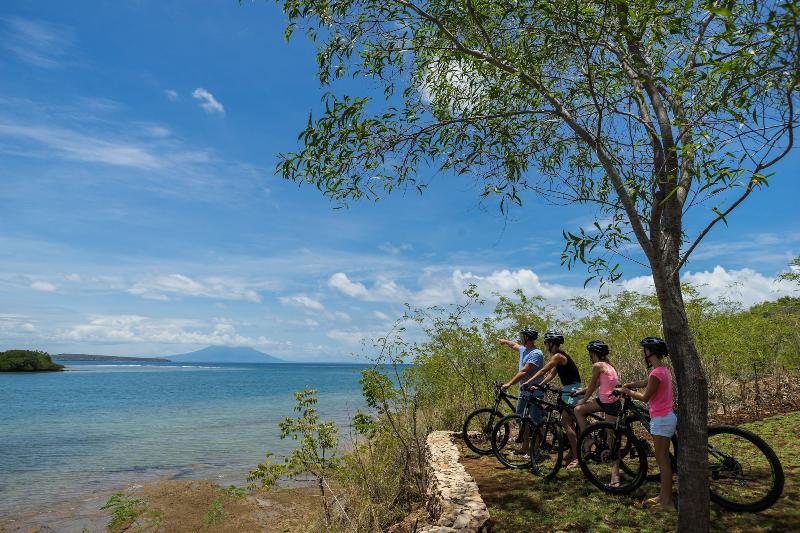 Menjangan Dynasty Resort - Aktivite