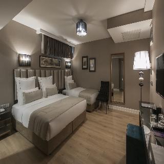 Le Petit Palace Hotel fotoÄŸrafÄ±