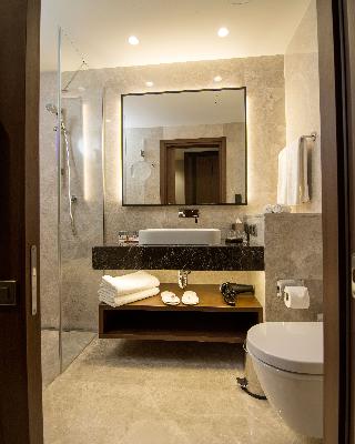 Clarion Hotel Golden Horn fotoÄŸrafÄ±