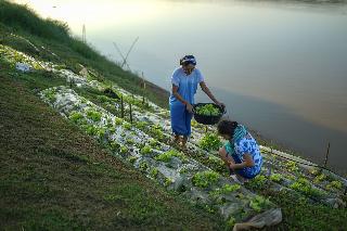 Chiangkhan River Mountain Resort fotoÄŸrafÄ±
