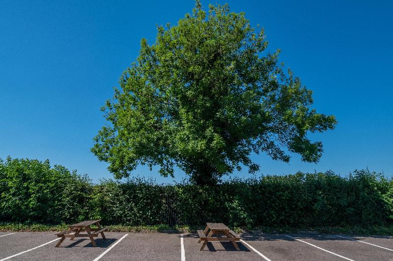 Holiday Inn Leicester - Wigston - Genel