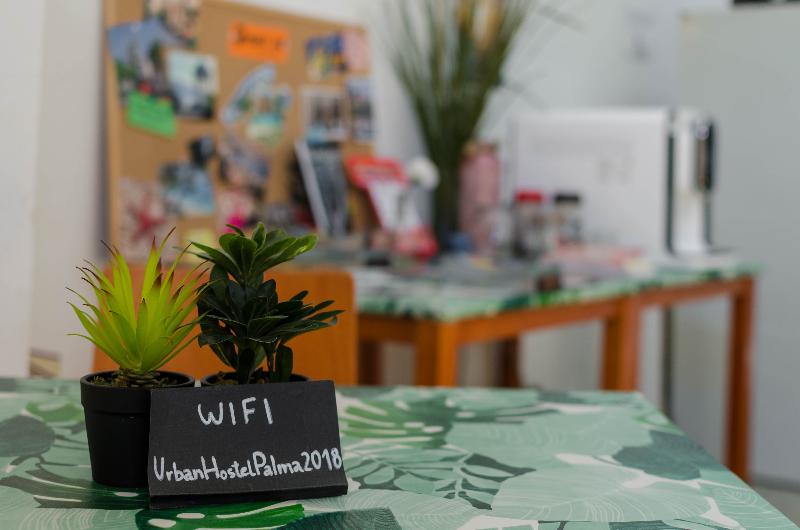 Urban Hostel Palma - Albergue Juvenil - Aktivite