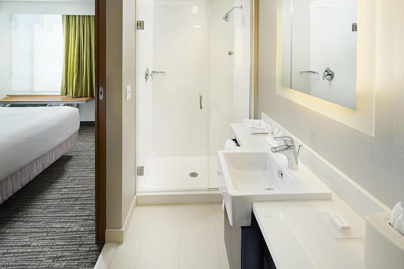 SpringHill Suites Carle Place Garden City - Oda