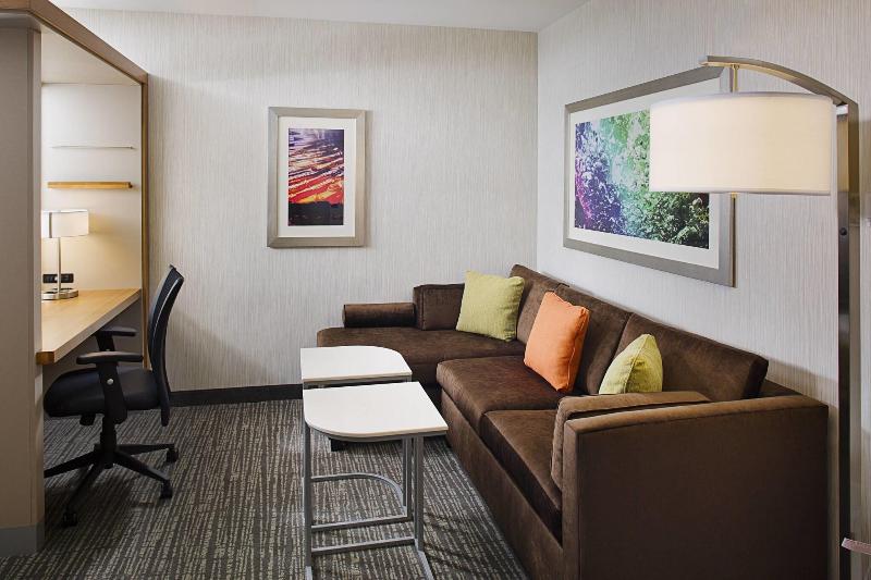 SpringHill Suites Carle Place Garden City - Oda