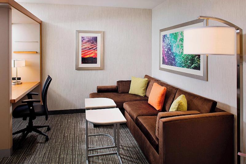SpringHill Suites Carle Place Garden City - Oda