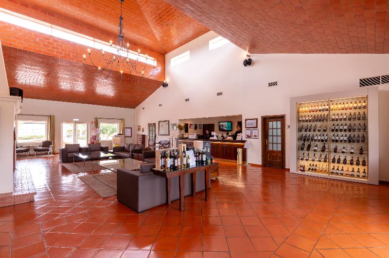 Vila Gale Alentejo Vineyards (Clube de Campo) - Lobi