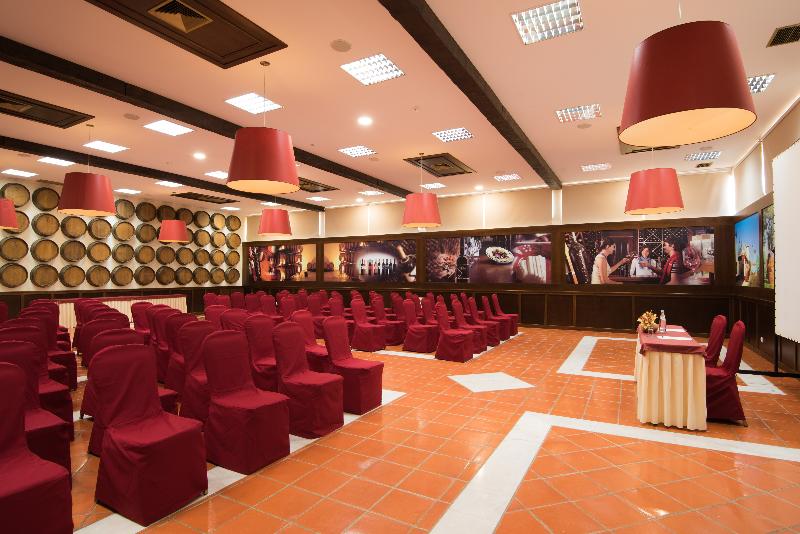 Vila Gale Alentejo Vineyards (Clube de Campo) - Toplantı