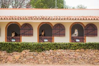 Vila Gale Alentejo Vineyards (Clube de Campo) fotoÄŸrafÄ±